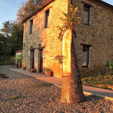 La Tana Del Picchio Villa Neviano degli Arduini Exterior photo