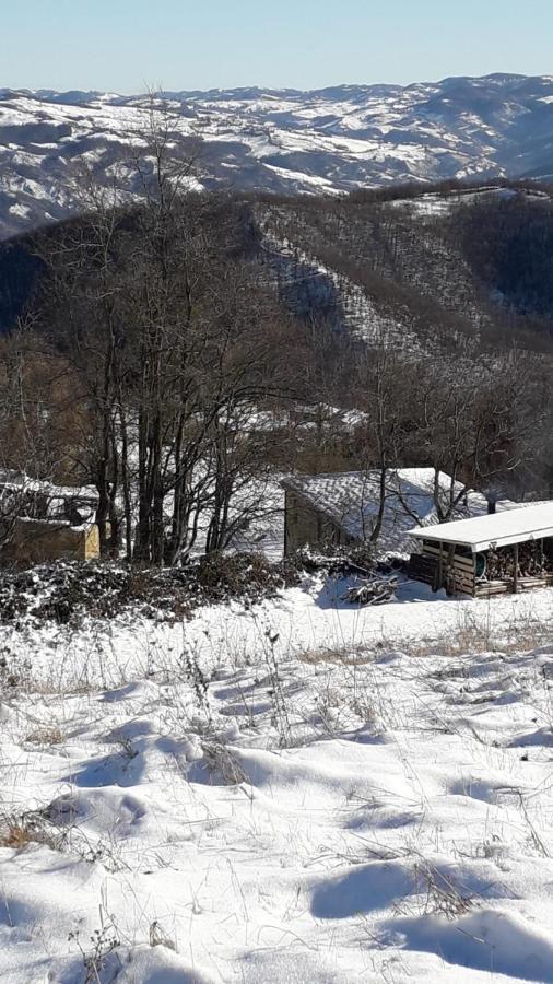 La Tana Del Picchio Villa Neviano degli Arduini Exterior photo