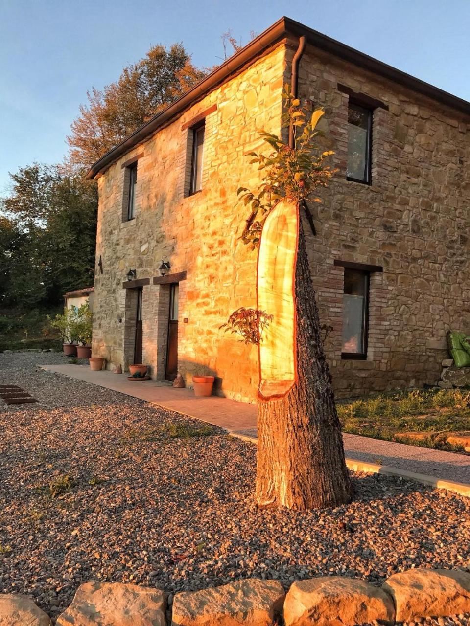 La Tana Del Picchio Villa Neviano degli Arduini Exterior photo